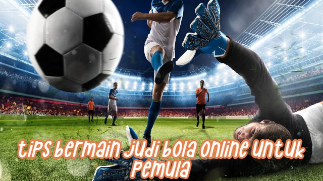 Tips Bermain Judi Bola Online untuk Pemula